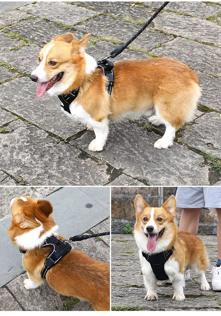 Adjustable Reflective Dog Harness with LED Lights – Breathable Comfort Vest for Small to Large