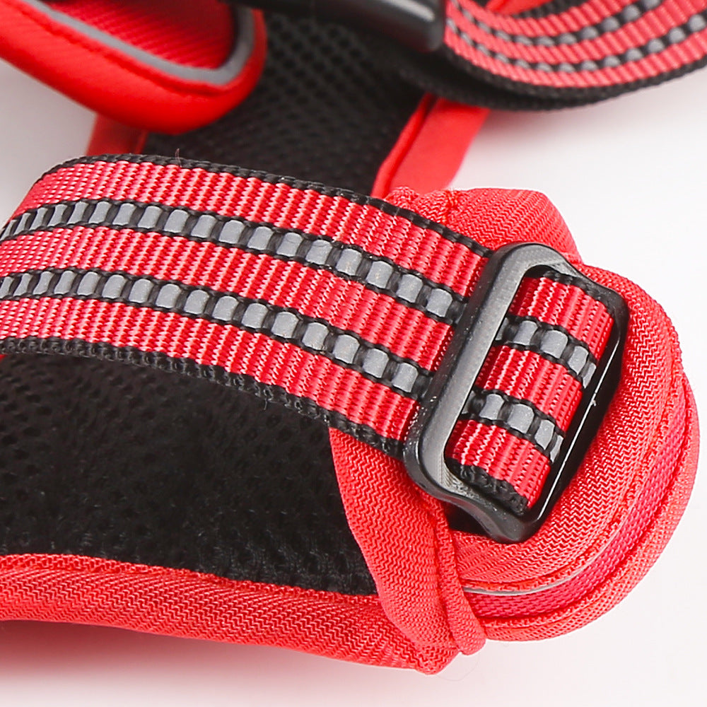 Adjustable Reflective Dog Harness with LED Lights – Breathable Comfort Vest for Small to Large