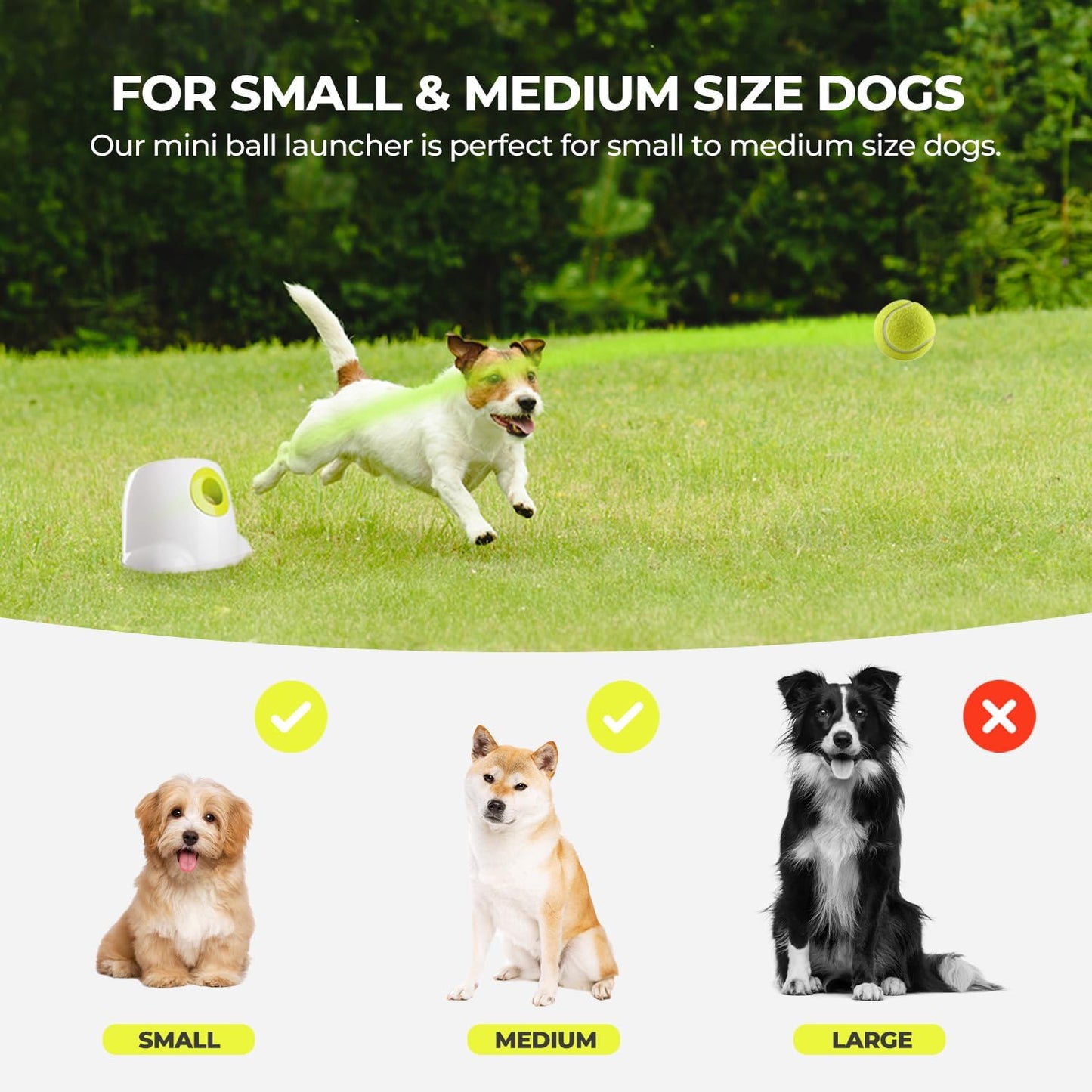 Automatic Dog Ball Launcher for Small Dogs – Interactive Tennis Thrower with 3 Modes & Balls