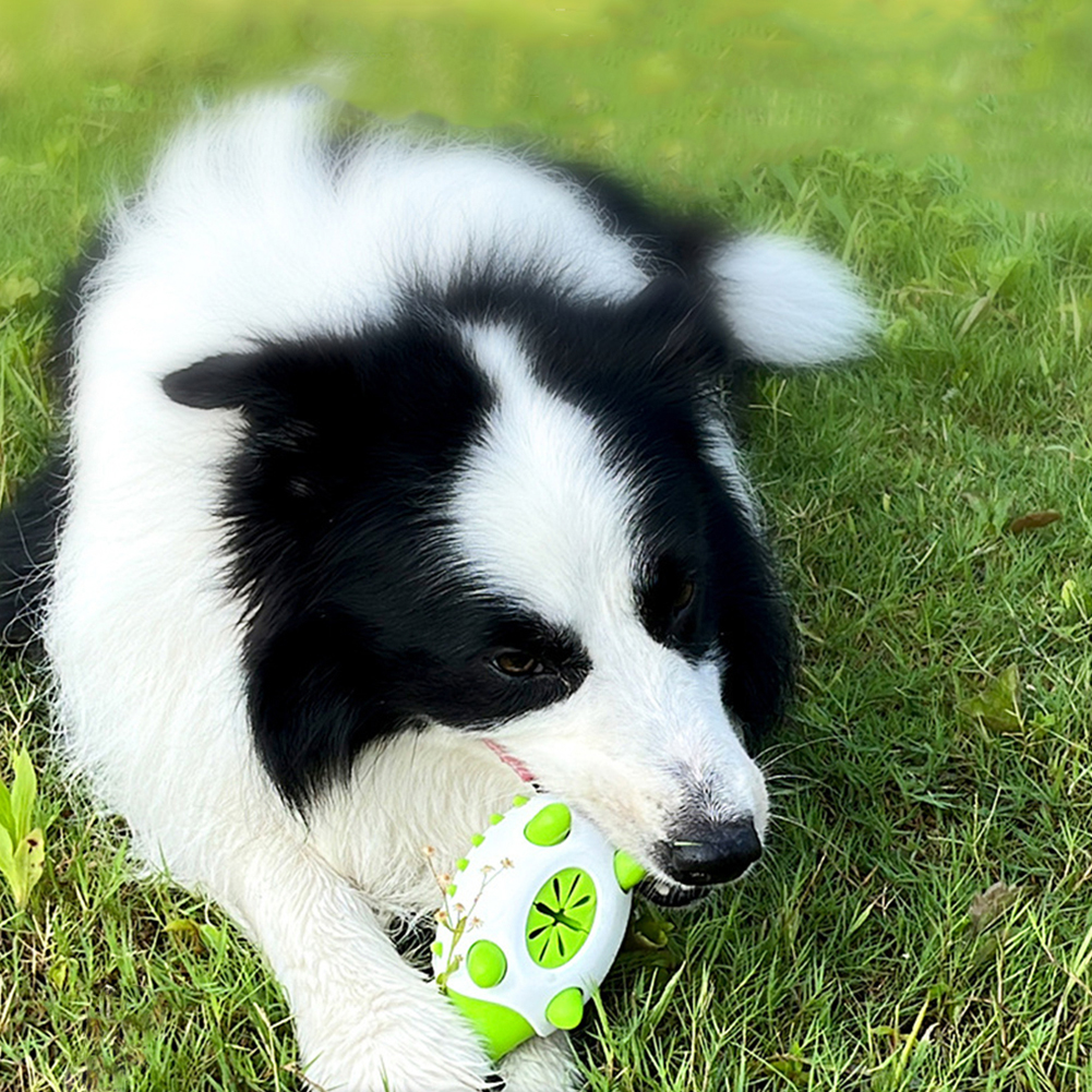 Durable Dog Chew Toy – Food Dispensing TPR Toy for Teeth Cleaning & IQ Training