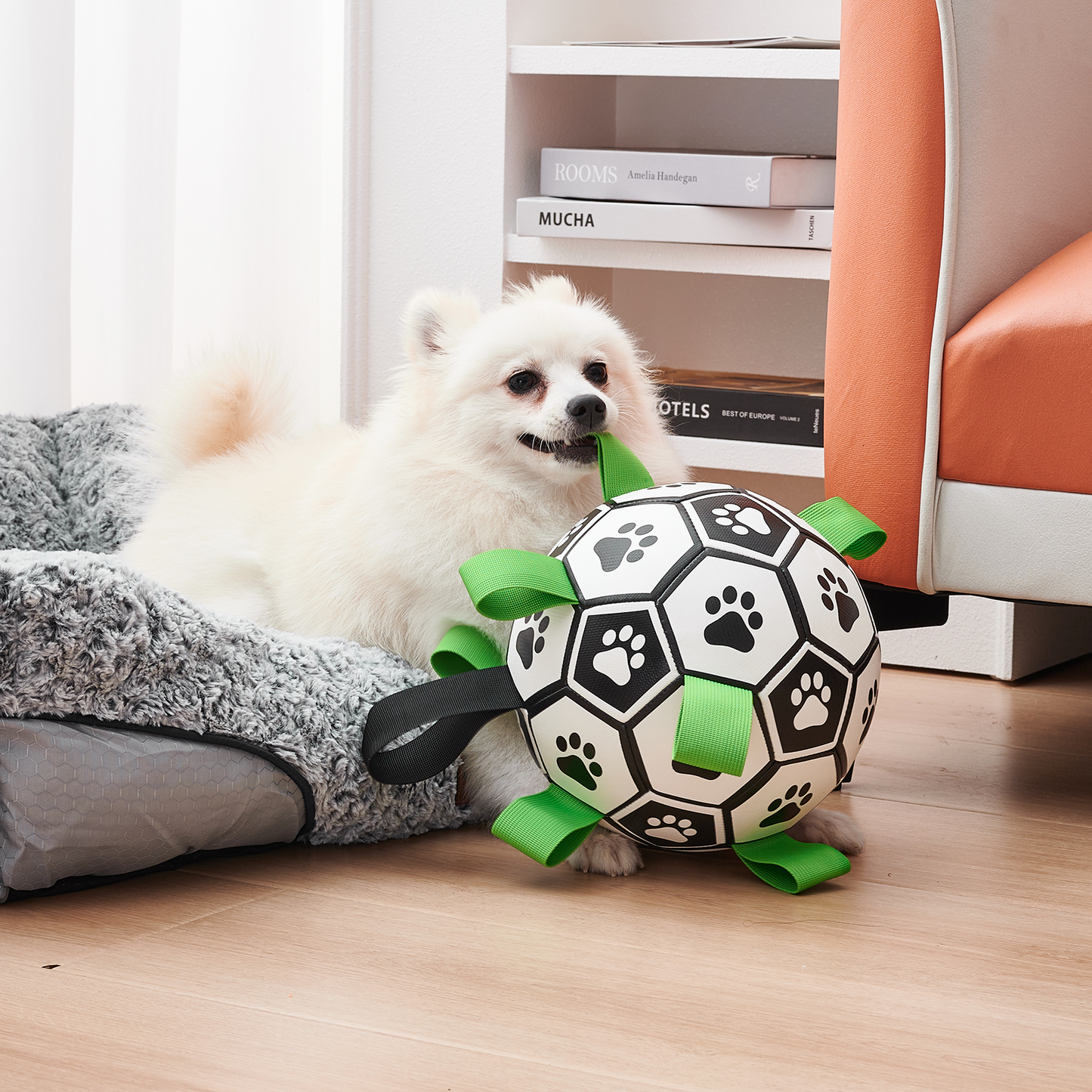Interactive Dog Football Toy with Grab Tabs – Durable Water Ball for Small & Medium Dogs, Indoor & Outdoor Play