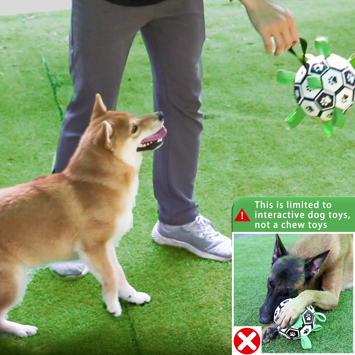 Interactive Dog Football Toy with Grab Tabs – Durable Water Ball for Small & Medium Dogs, Indoor & Outdoor Play