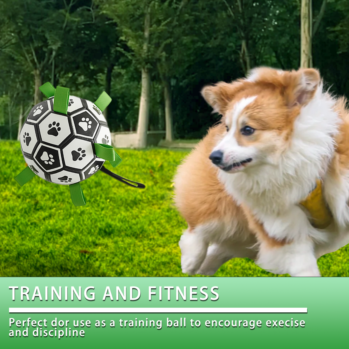 Interactive Dog Football Toy with Grab Tabs – Durable Water Ball for Small & Medium Dogs, Indoor & Outdoor Play