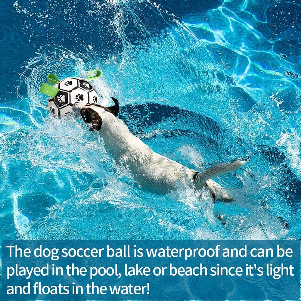 Interactive Dog Football Toy with Grab Tabs – Durable Water Ball for Small & Medium Dogs, Indoor & Outdoor Play