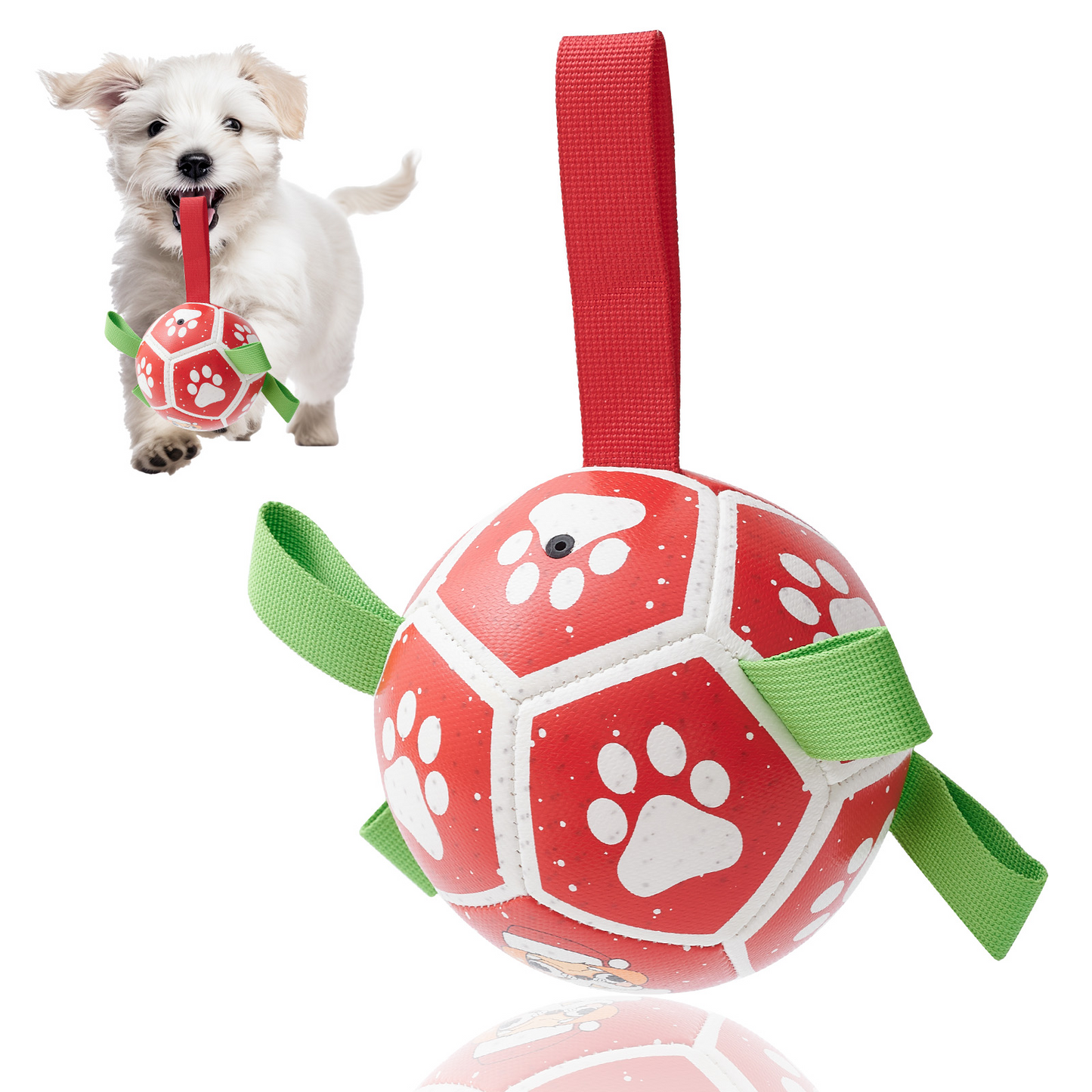 Interactive Dog Football Toy with Grab Tabs – Durable Water Ball for Small & Medium Dogs, Indoor & Outdoor Play