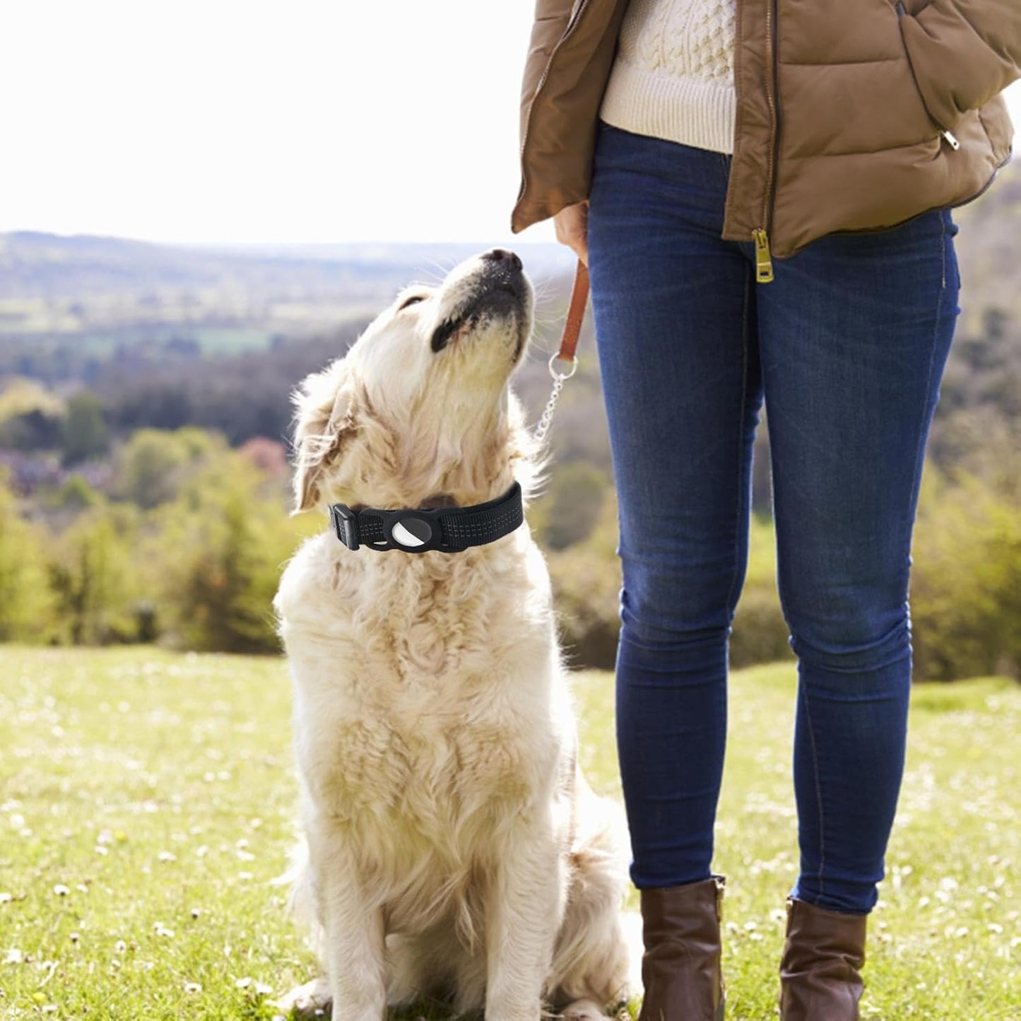 Reflective Dog Collar with Airtag Holder – Adjustable Anti-Lost Nylon Pet Collar
