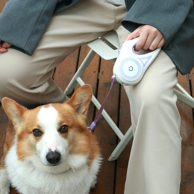 Retractable Dog Leash with LED Light – Tangle-Free, Smart Lock, Night Safety