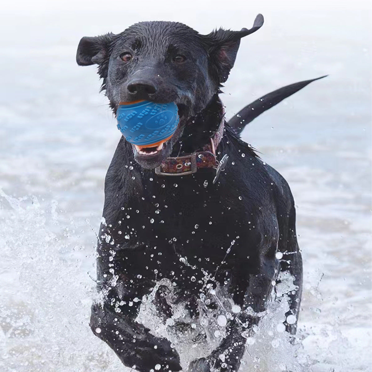 Indestructible Squeaky Dog Balls – Chew Toys for Teeth Cleaning & Puppy Training