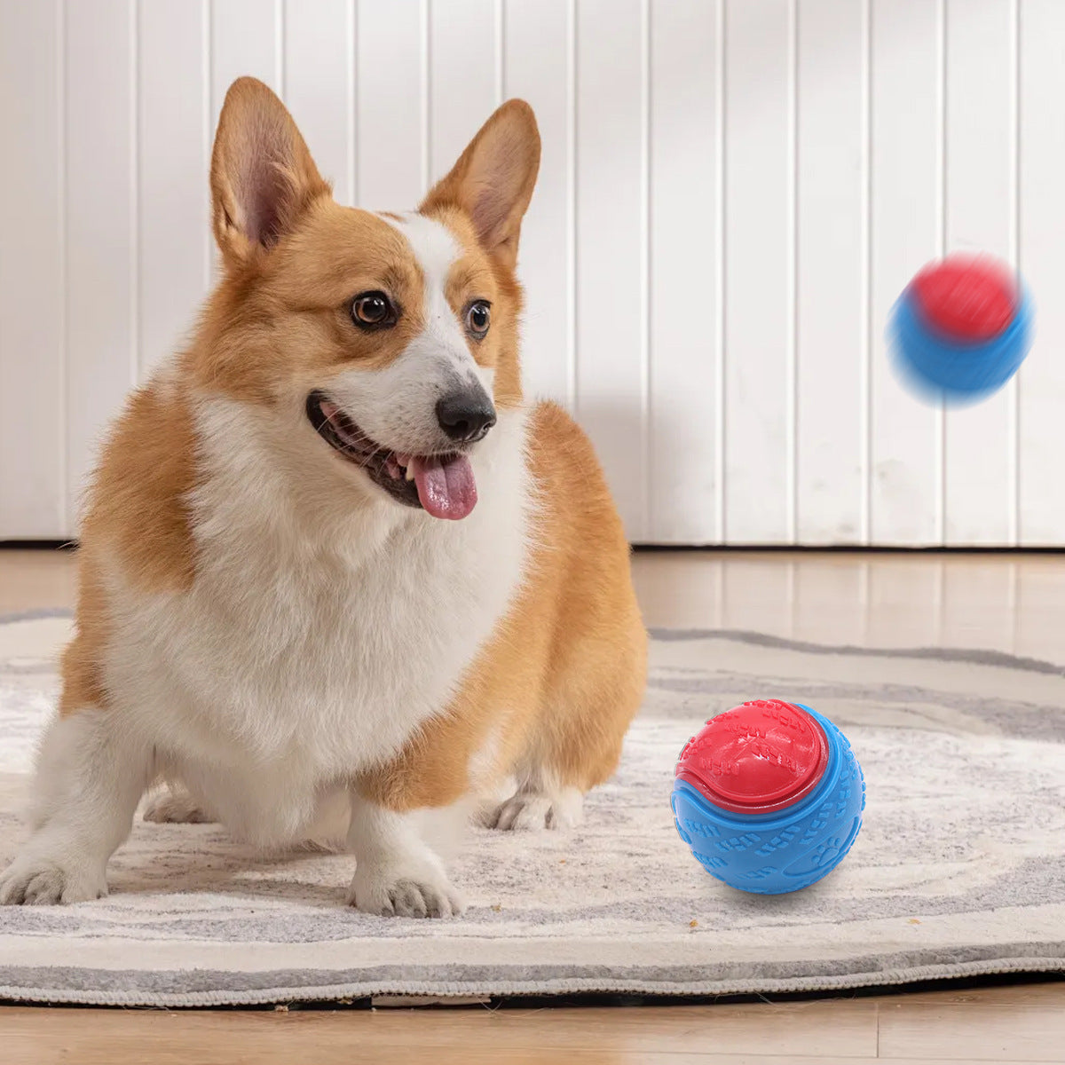 Indestructible Squeaky Dog Balls – Chew Toys for Teeth Cleaning & Puppy Training