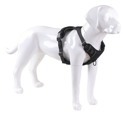 Adjustable Reflective Dog Harness with LED Lights – Breathable Comfort Vest for Small to Large