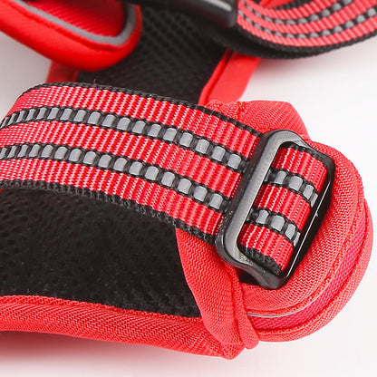 Adjustable Reflective Dog Harness with LED Lights – Breathable Comfort Vest for Small to Large