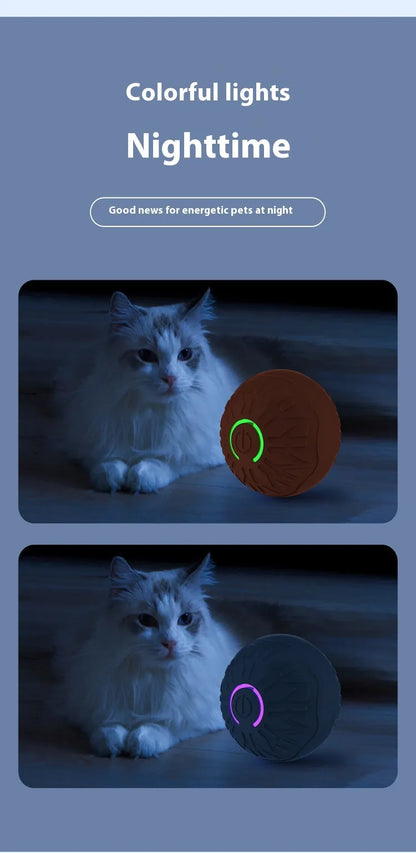 Electric Dog Toy Ball – Auto Rolling, Bouncing & Jumping Toy for Small Dogs & Cats