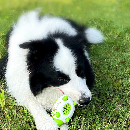 Durable Dog Chew Toy – Food Dispensing TPR Toy for Teeth Cleaning & IQ Training