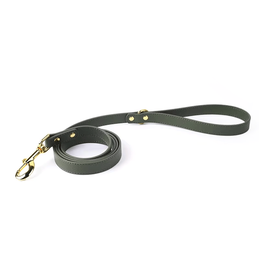 Snugssy Leatherette Leash Leafy Green