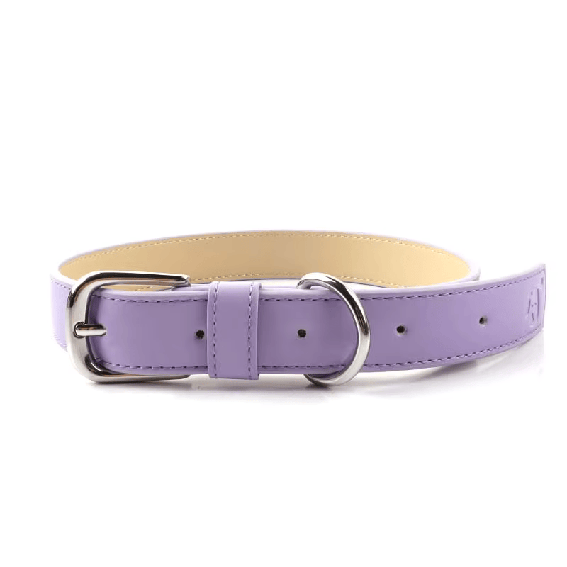 Snugssy Pup Collar Royal Plum